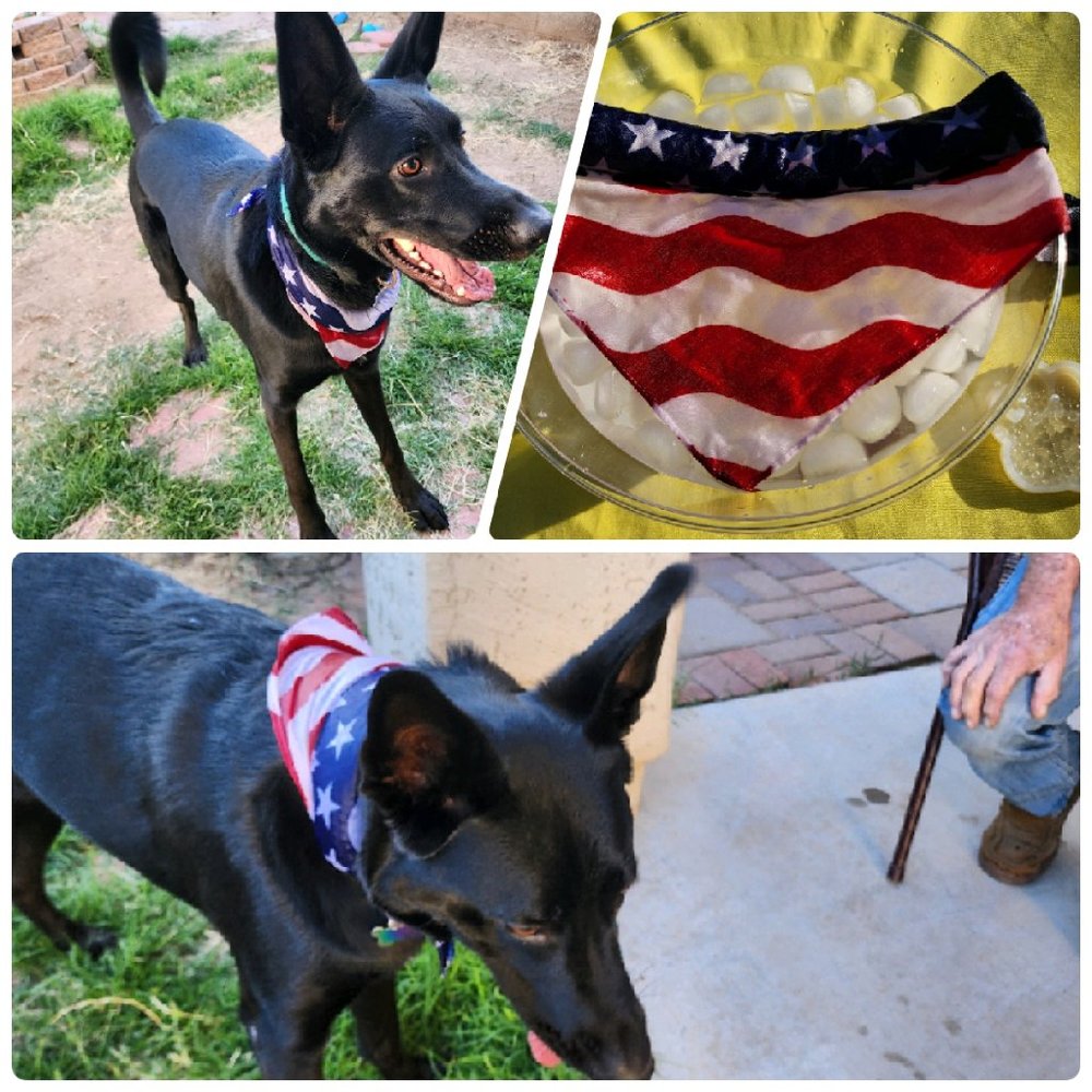 Hand Crafted Reusable Neck Cooler Bandana to Keep Your Dog Cooler This Summer!!